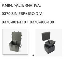 0370 MALETA CON DIVISORES, NEGRA (ESPECIAL)